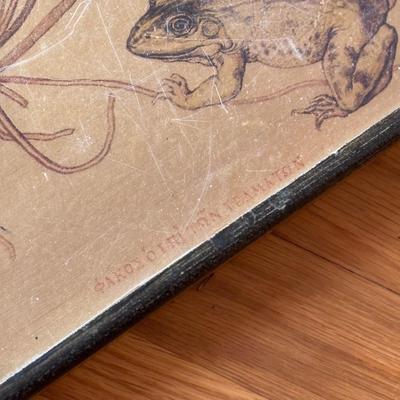 Pottery Barn Frog Plates and More (DR-DZ)