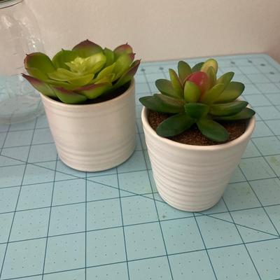 Sale Photo Thumbnail #321: Decorative jars and plants