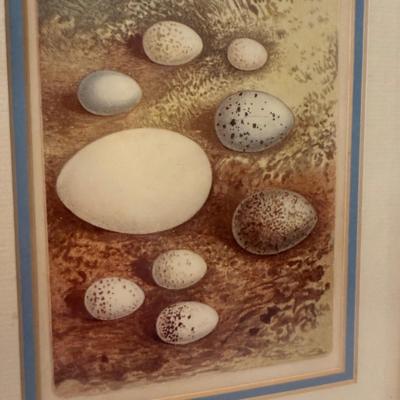Decorative Egg Art & More (O-HS)