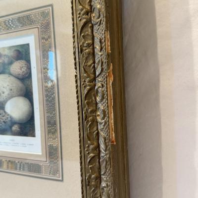 Decorative Egg Art & More (O-HS)