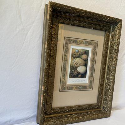 Decorative Egg Art & More (O-HS)