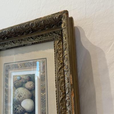Decorative Egg Art & More (O-HS)