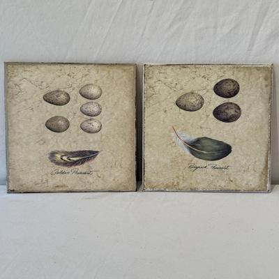 Decorative Egg Art & More (O-HS)