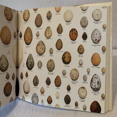 Decorative Egg Art & More (O-HS)