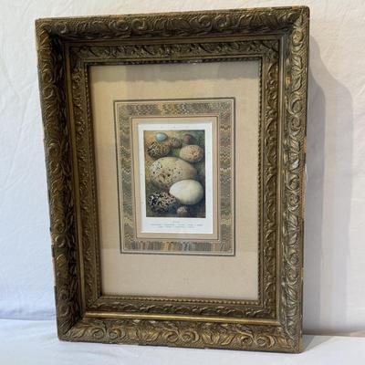 Decorative Egg Art & More (O-HS)