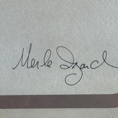 Framed Print of a Horse