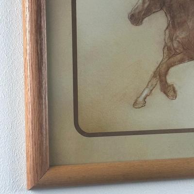 Framed Print of a Horse