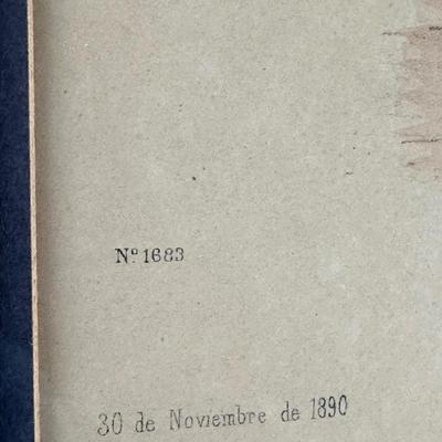 Pair of Framed Victorian Dress Illustrations from 1890s