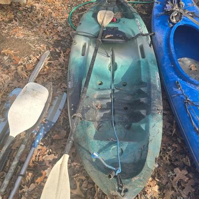 Kayak