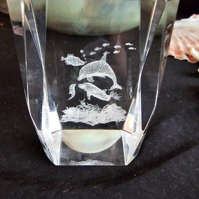 Sea Shell collection - ocean themed decor - Dolphins-glass Sea horse - and more