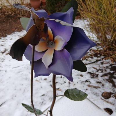 Metal yard art Hummingbird and a Columbine flower, Two of Colorado's Best!