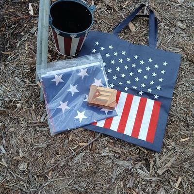 Flag with long flagpole, and other patriotic items