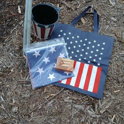 Flag with long flagpole, and other patriotic items