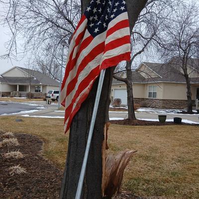 Flag with long flagpole, and other patriotic items