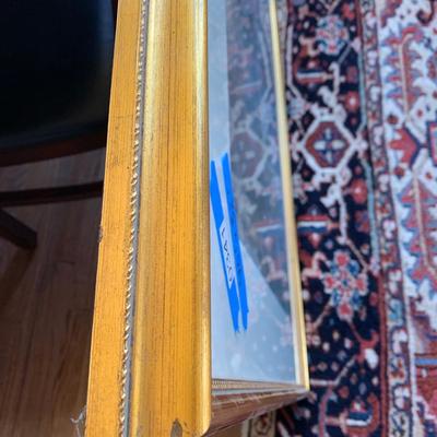 Large Professionally Framed Print