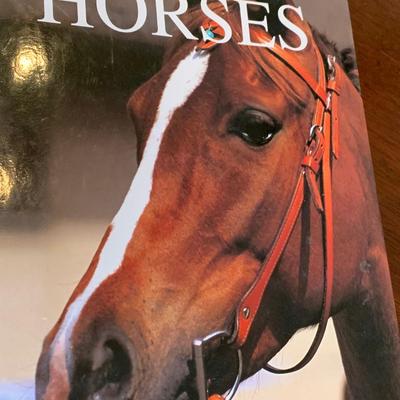 Equestrian / Horses Hardback Books Lot