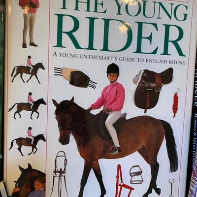 Equestrian / Horses Hardback Books Lot