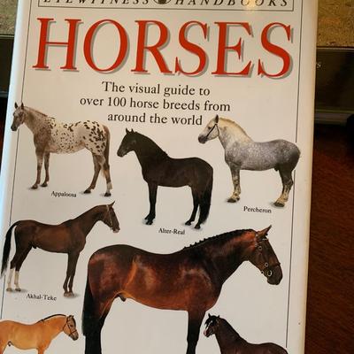 Equestrian / Horses Hardback Books Lot