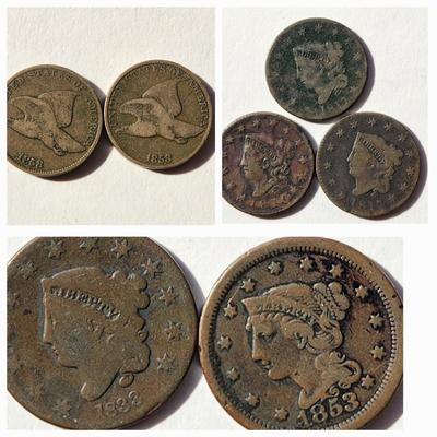 (7) 1800's Large Cents Flying Eagles Coins Pennies Lot