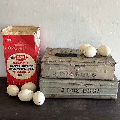 LOT 83: Vintage Metal Egg Carriers (1 w/cardboard insert) & 28 Real White Egg Shells