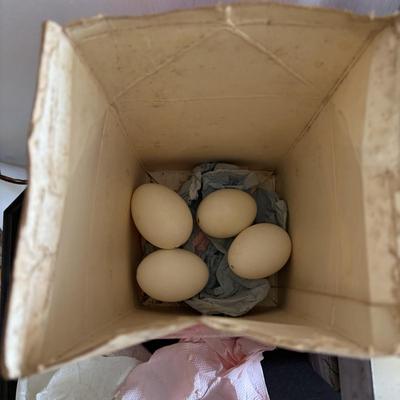 LOT 83: Vintage Metal Egg Carriers (1 w/cardboard insert) & 28 Real White Egg Shells