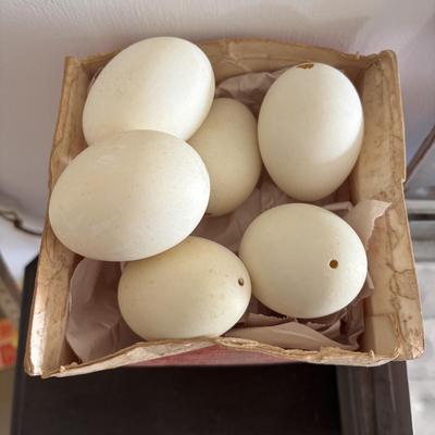 LOT 83: Vintage Metal Egg Carriers (1 w/cardboard insert) & 28 Real White Egg Shells