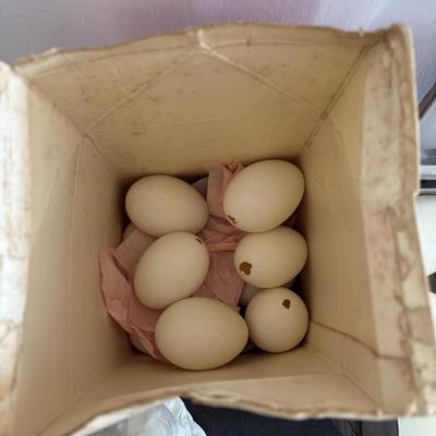 LOT 83: Vintage Metal Egg Carriers (1 w/cardboard insert) & 28 Real White Egg Shells