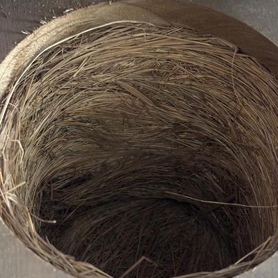 LOT 88: Antique Demijohn Bottle w/Wooden Shipping Crate