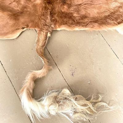 LOT 247: Donkey / Mule Hide Rug