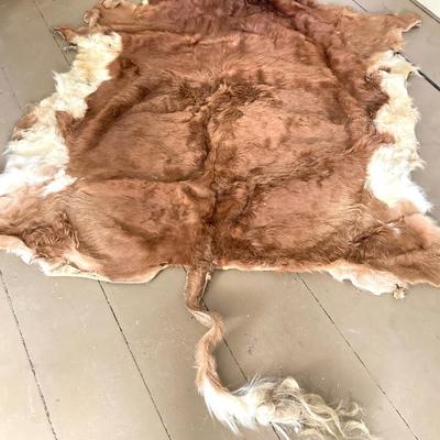 LOT 247: Donkey / Mule Hide Rug