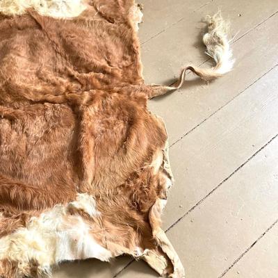 LOT 247: Donkey / Mule Hide Rug