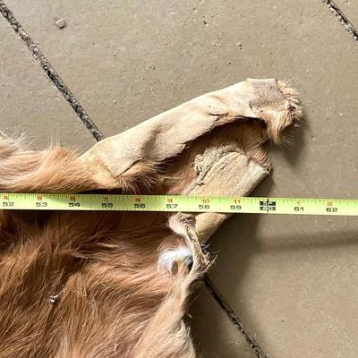 LOT 247: Donkey / Mule Hide Rug