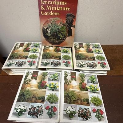 Vintage 1988 Success With House Plants 5 Volume Complete Set Gardening