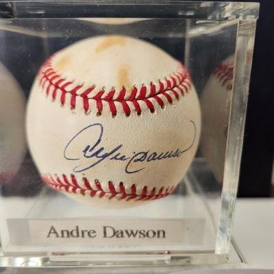 Andre Dawson Signed Autographed Baseball in Collector Case