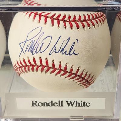 Rondell White Signed Autographed Baseball in Collector Case