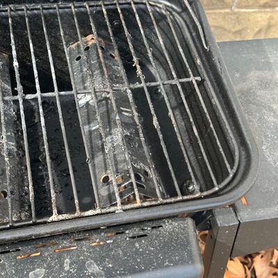 LOT 1: Expert Propane Gas Grill