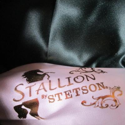 Stetson Stallion dark brown cowboy hat