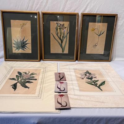Botanical Art & More (LR-RG)