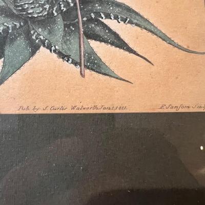 Botanical Art & More (LR-RG)