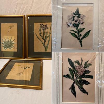 Botanical Art & More (LR-RG)