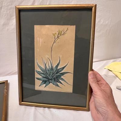 Botanical Art & More (LR-RG)