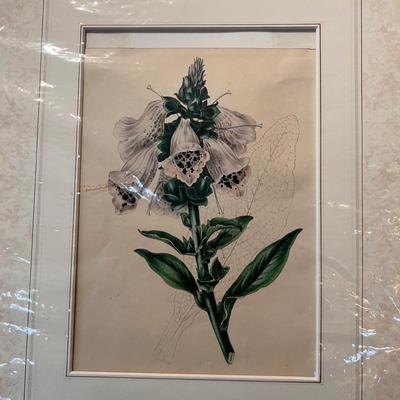 Botanical Art & More (LR-RG)