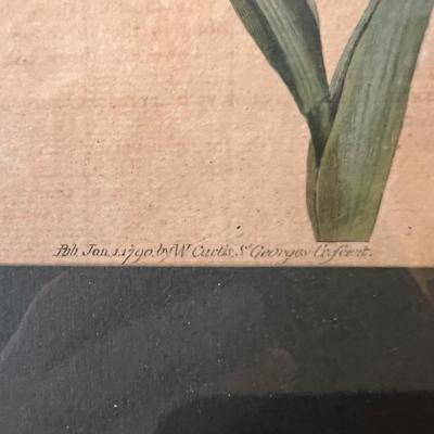 Botanical Art & More (LR-RG)