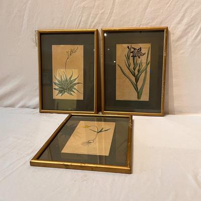 Botanical Art & More (LR-RG)