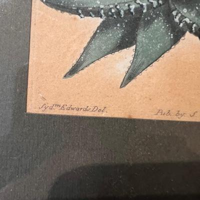 Botanical Art & More (LR-RG)