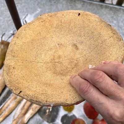 Mud Dabbers Ceramic Mushrooms & More (LR-RG)