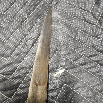 Talwar Sword
