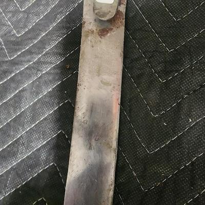 Indian Sabre