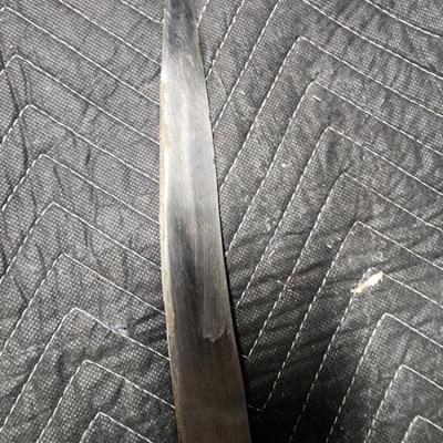 Indian Sabre