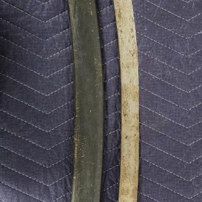 Indian Sabre
